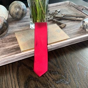 EXPRESS solid skinney Tie